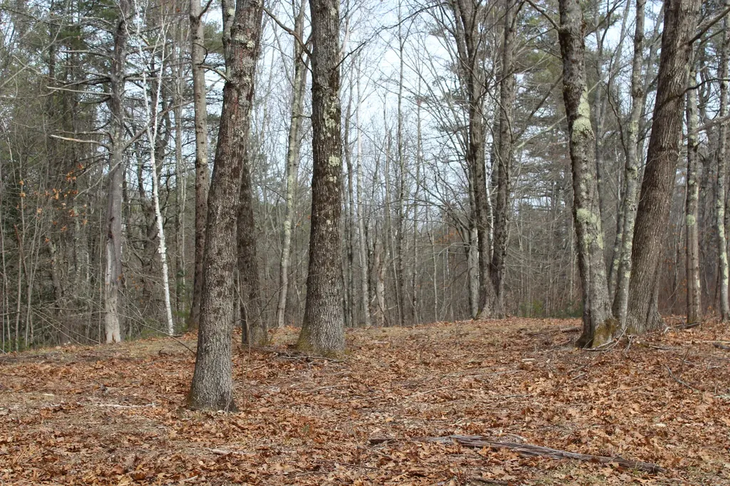 Lot 00b Knight Farm Road Kennebunk ME 04043