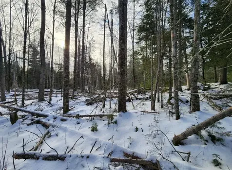 698 Stream Road Winterport ME 04496