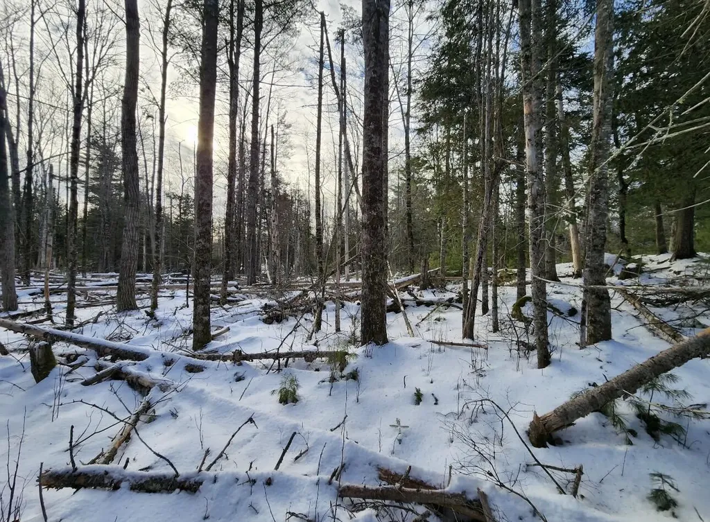 698 Stream Road Winterport ME 04496