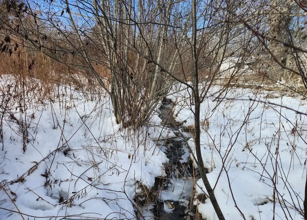698 Stream Road Winterport ME 04496