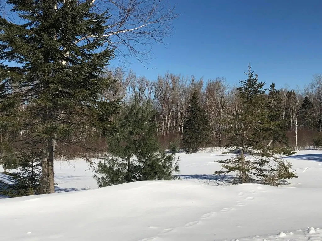 8 Marbles Way Rangeley ME 04970