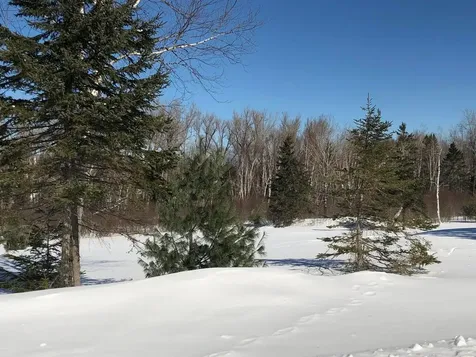 8 Marbles Way Rangeley ME 04970