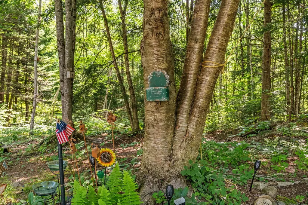 123 Fogg Road Readfield ME 04355