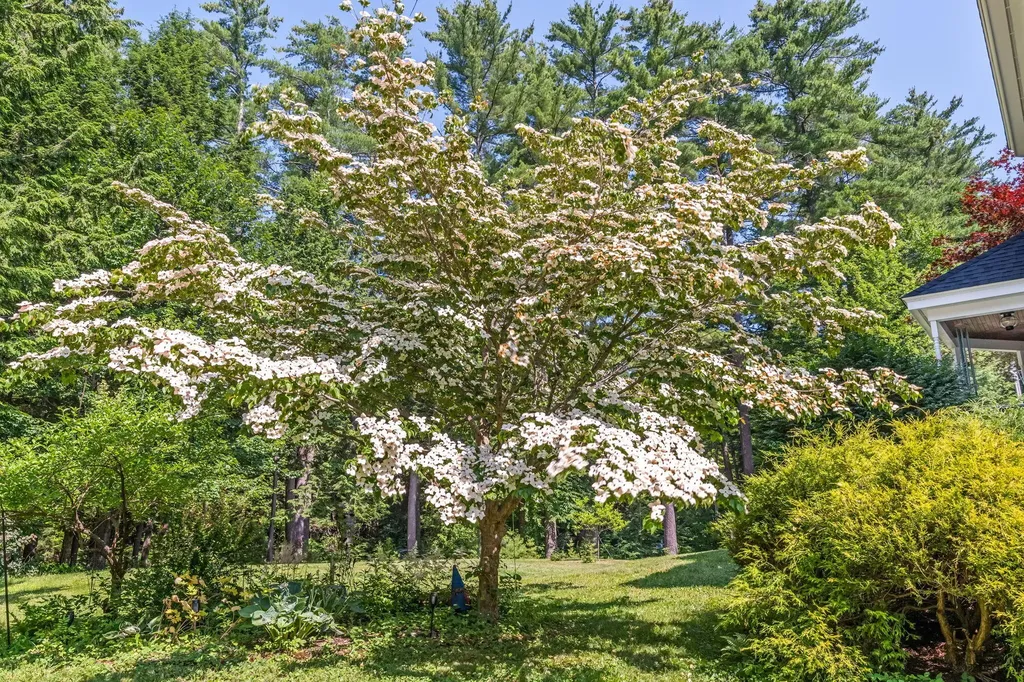 123 Fogg Road Readfield ME 04355