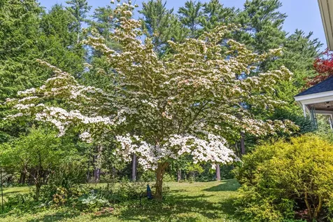 123 Fogg Road Readfield ME 04355