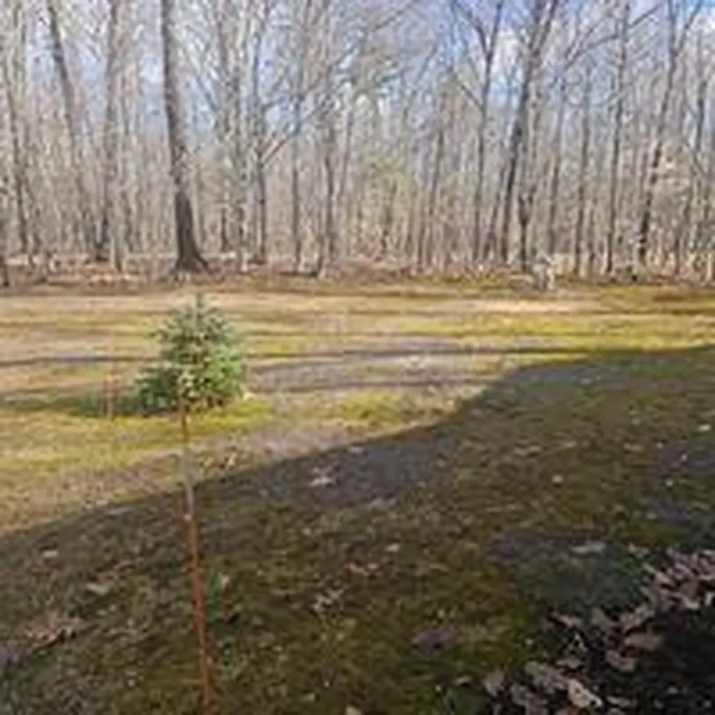 28 Lakewood Estates Lane Oxford ME 04270