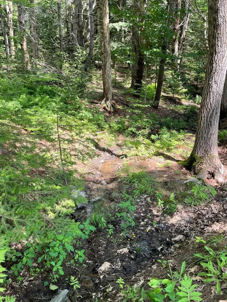 Lot 13b Pleasant Hill Road Brunswick ME 04011