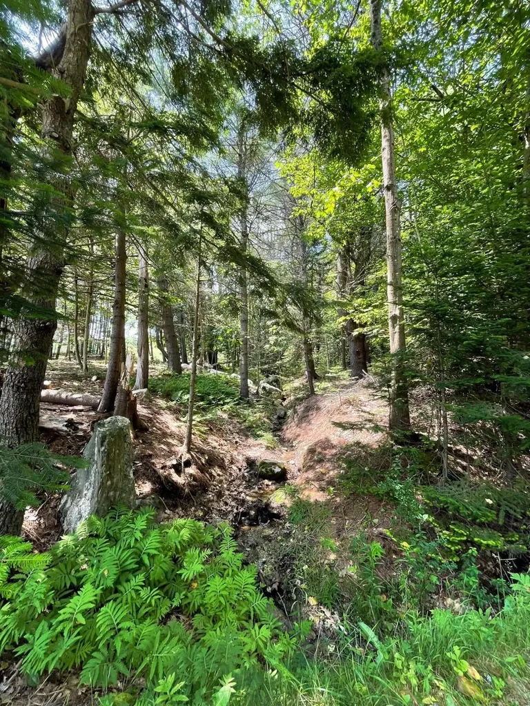 Lot 13b Pleasant Hill Road Brunswick ME 04011