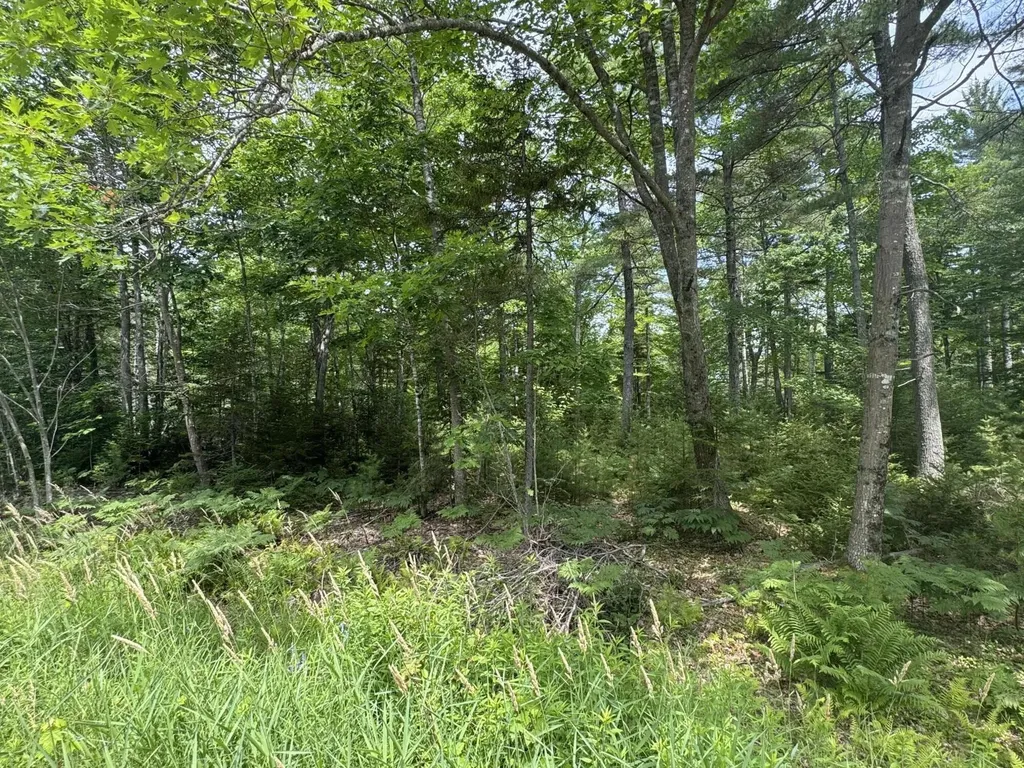 0 Town Farm Road Bucksport ME 04416