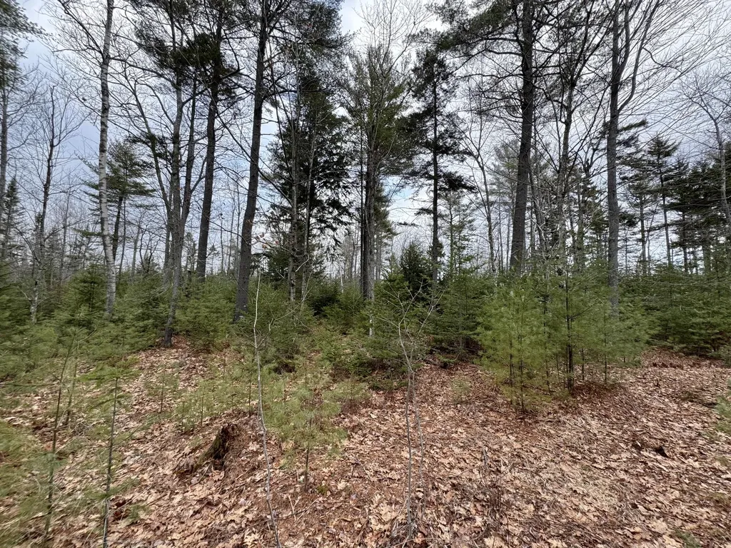 0 Town Farm Road Bucksport ME 04416