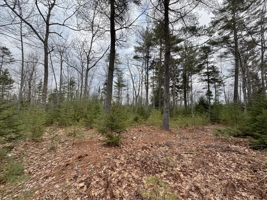 0 Town Farm Road Bucksport ME 04416