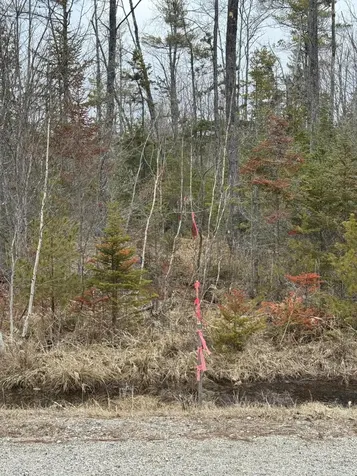 0 Town Farm Road Bucksport ME 04416
