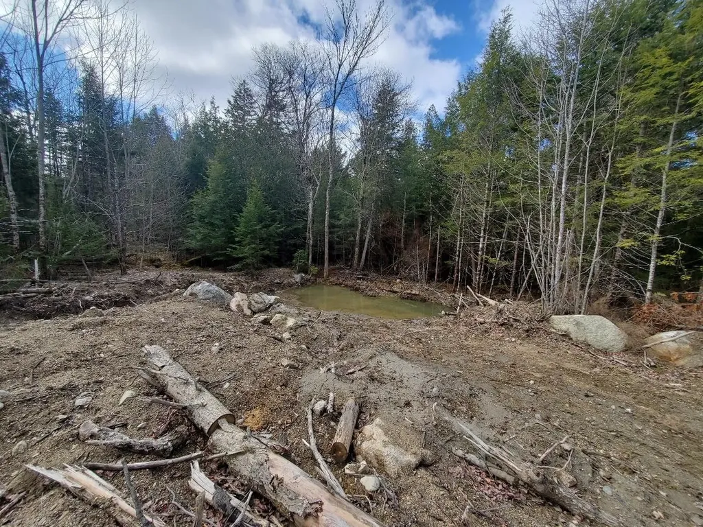 0 Pioneer Path Aurora ME 04408