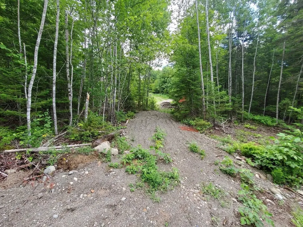 0 Pioneer Path Aurora ME 04408