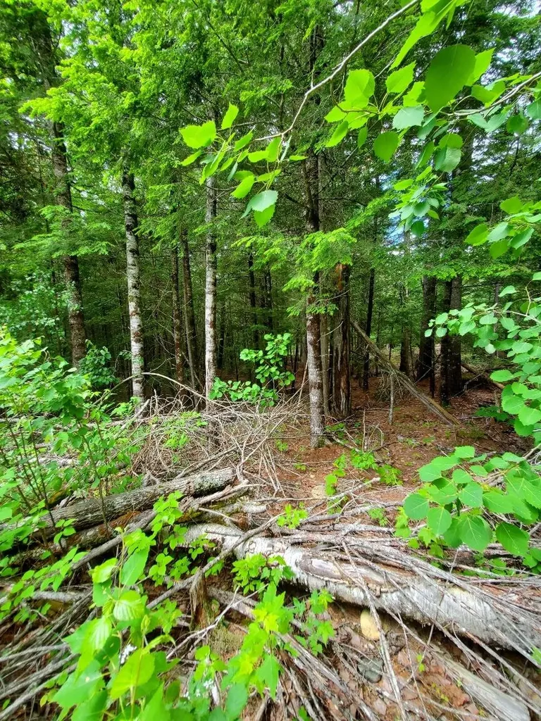0 Pioneer Path Aurora ME 04408