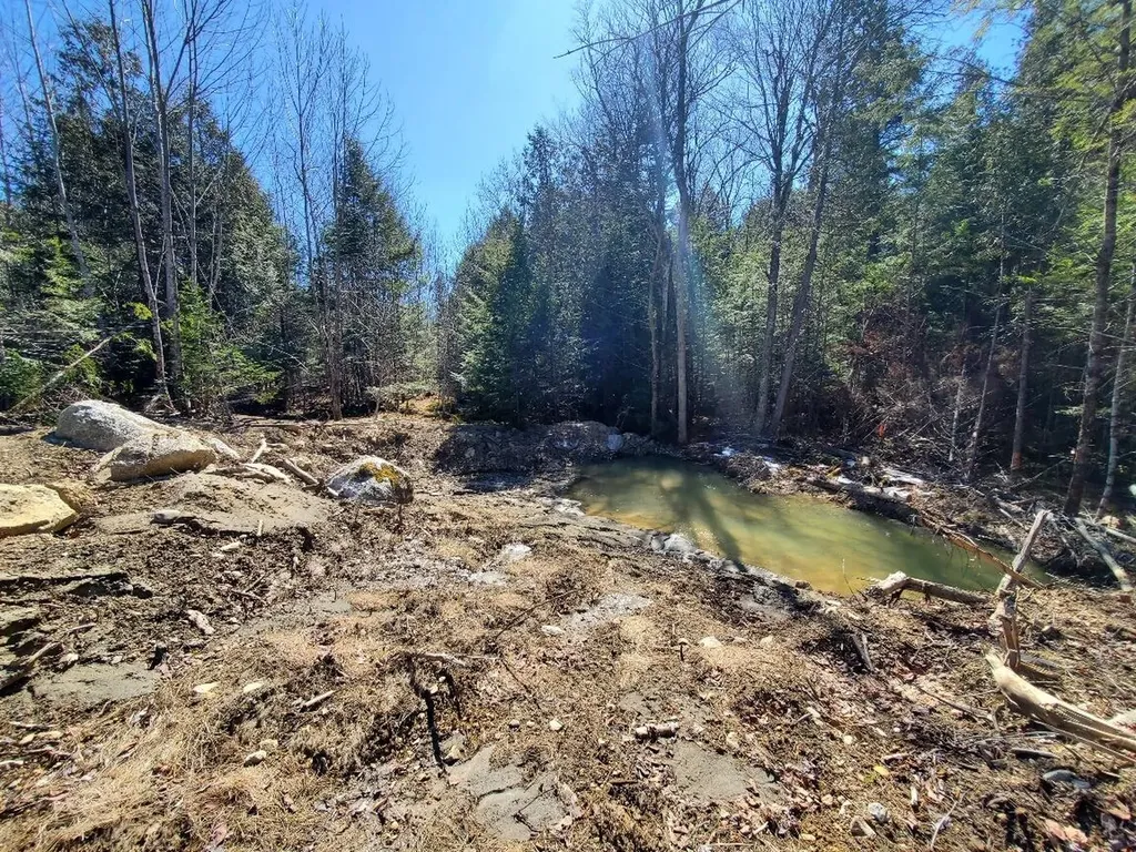0 Pioneer Path Aurora ME 04408