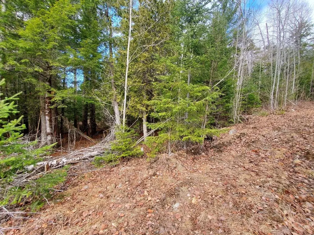 0 Pioneer Path Aurora ME 04408