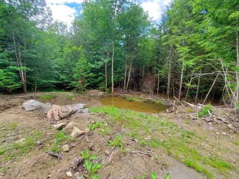 0 Pioneer Path Aurora ME 04408