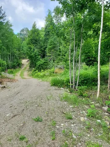 0 Pioneer Path Aurora ME 04408