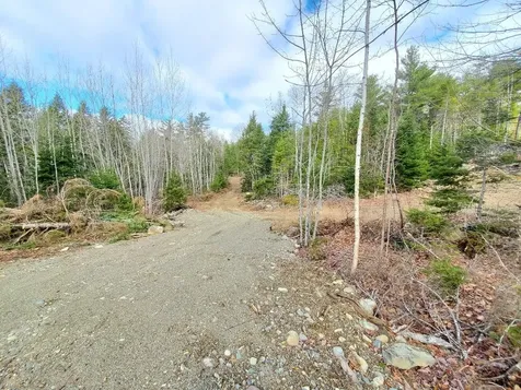 0 Pioneer Path Aurora ME 04408