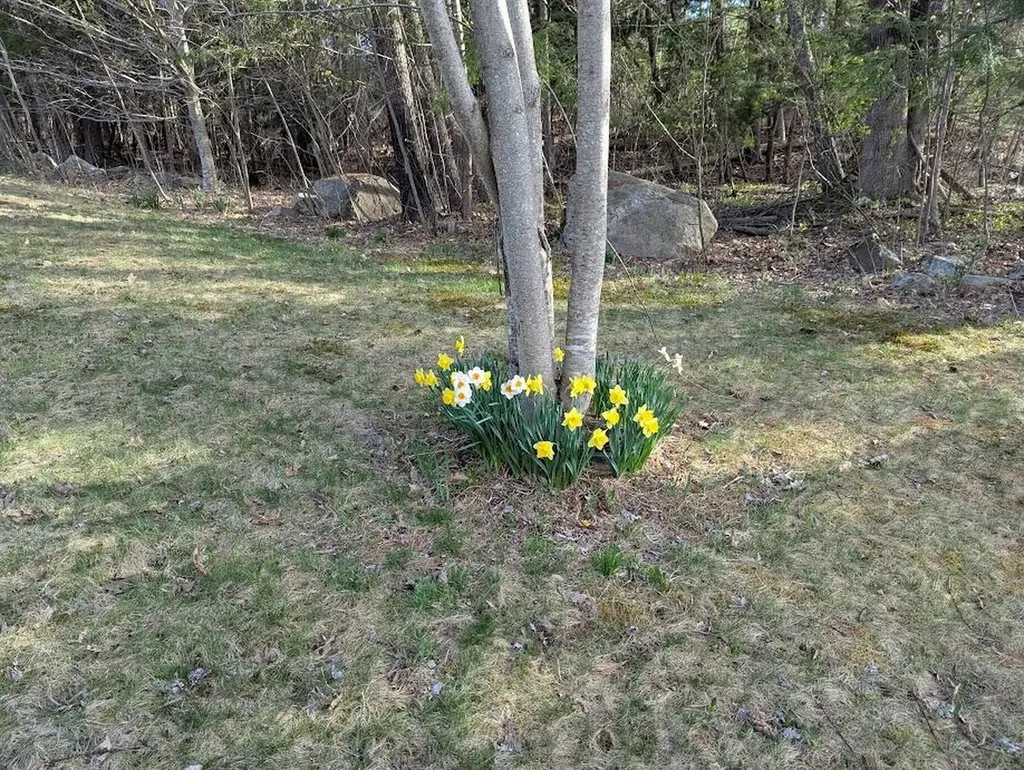 311 Milt Brown Road Standish ME 04084