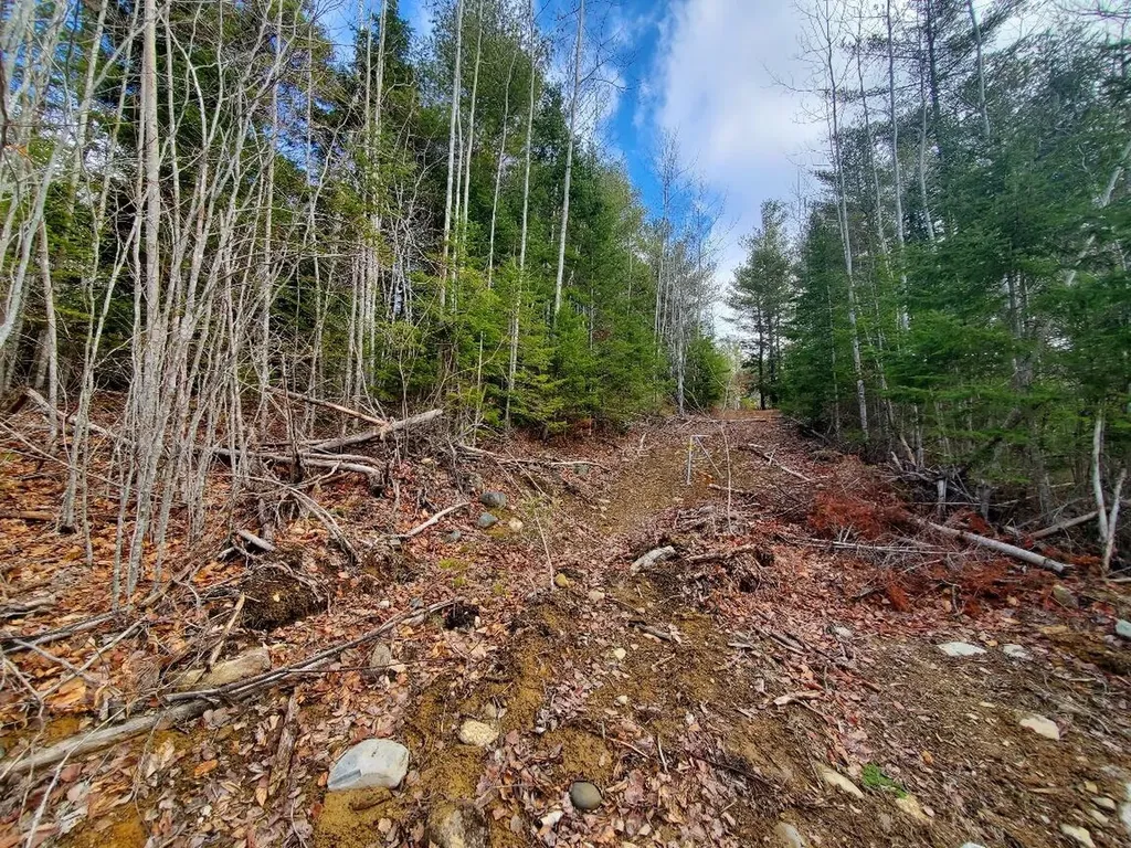 0 Pioneer Path Aurora ME 04408