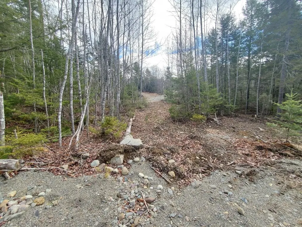 0 Pioneer Path Aurora ME 04408