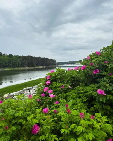 260 Clark Island Road Saint George ME 04859