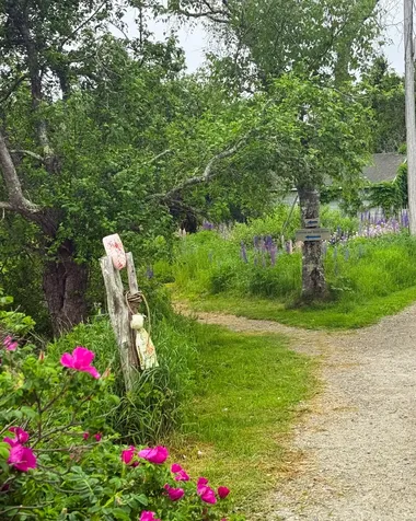 260 Clark Island Road Saint George ME 04859