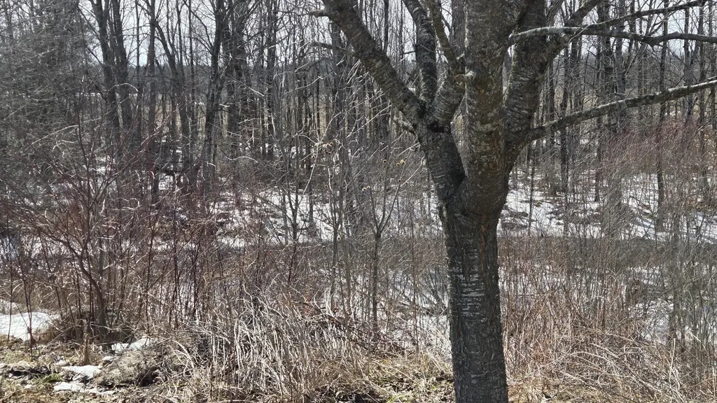 508 Horseback Road Clinton ME 04927