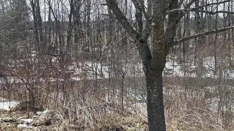 508 Horseback Road Clinton ME 04927