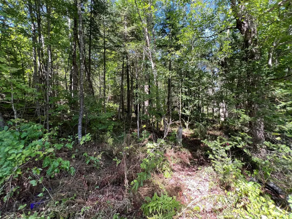Map 3 Lot 11-12 Beans Corner Road Hartland ME 04943