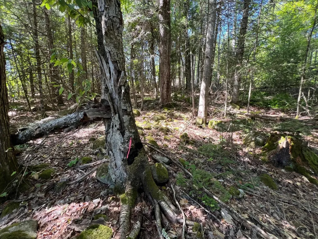 Map 3 Lot 11-12 Beans Corner Road Hartland ME 04943