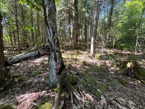 Map 3 Lot 11-12 Beans Corner Road Hartland ME 04943
