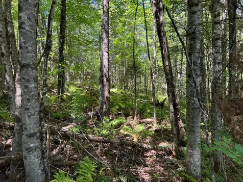 Map 3 Lot 11-12 Beans Corner Road Hartland ME 04943