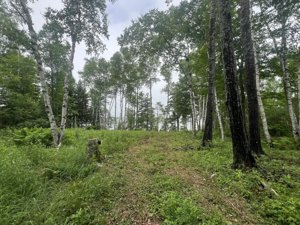 Lot 1 Puffins Lane Machiasport ME 04655