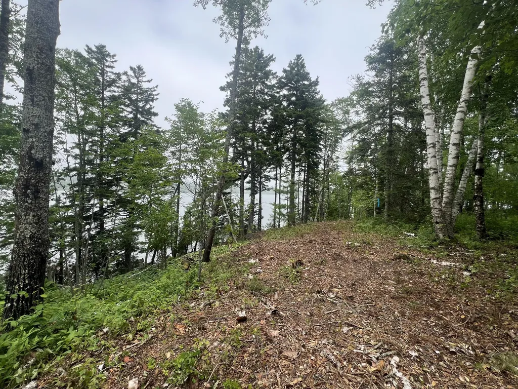 Lot 1 Puffins Lane Machiasport ME 04655