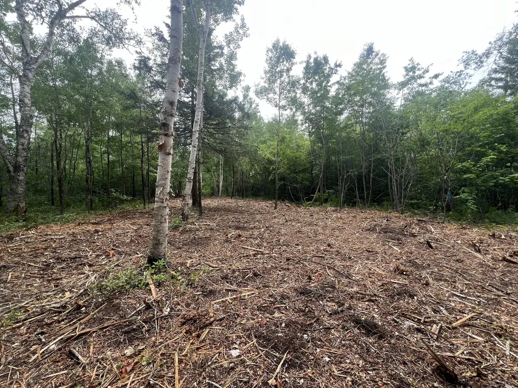 Lot 1 Puffins Lane Machiasport ME 04655