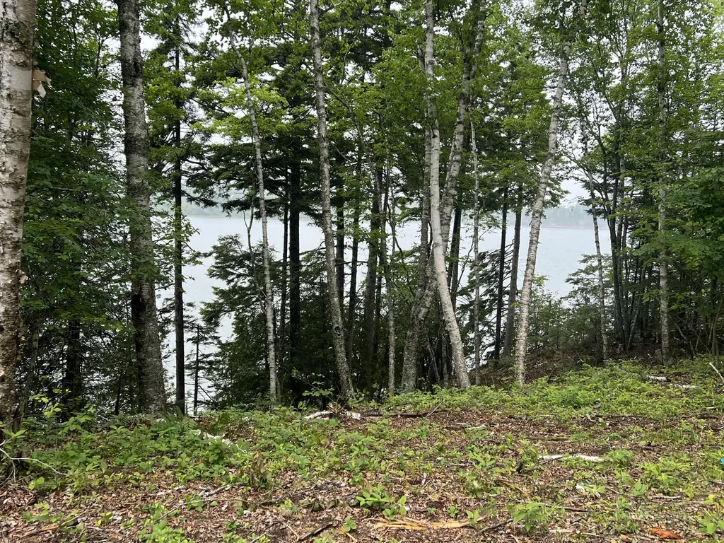 Lot 1 Puffins Lane Machiasport ME 04655