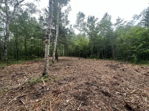 Lot 1 Puffins Lane Machiasport ME 04655