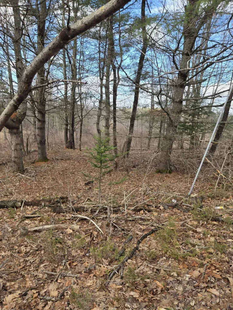 Lot 1 Maple Street Farmingdale ME 04344