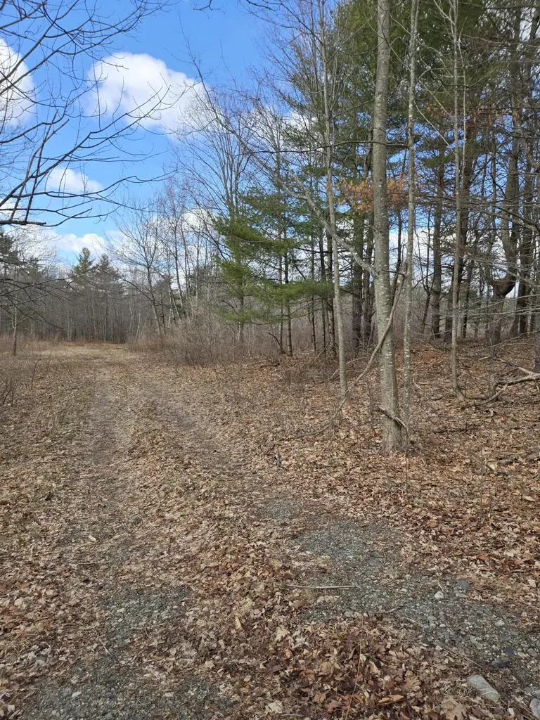 Lot 1 Maple Street Farmingdale ME 04344