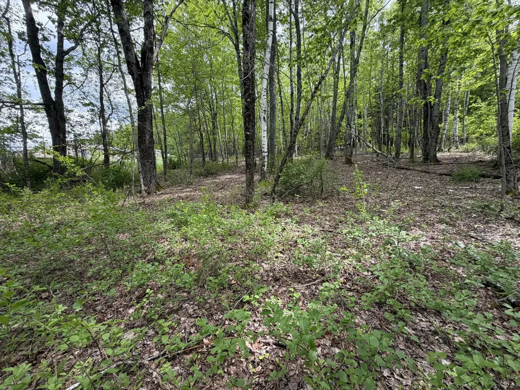 Lot I Agape Lane Dexter ME 04930
