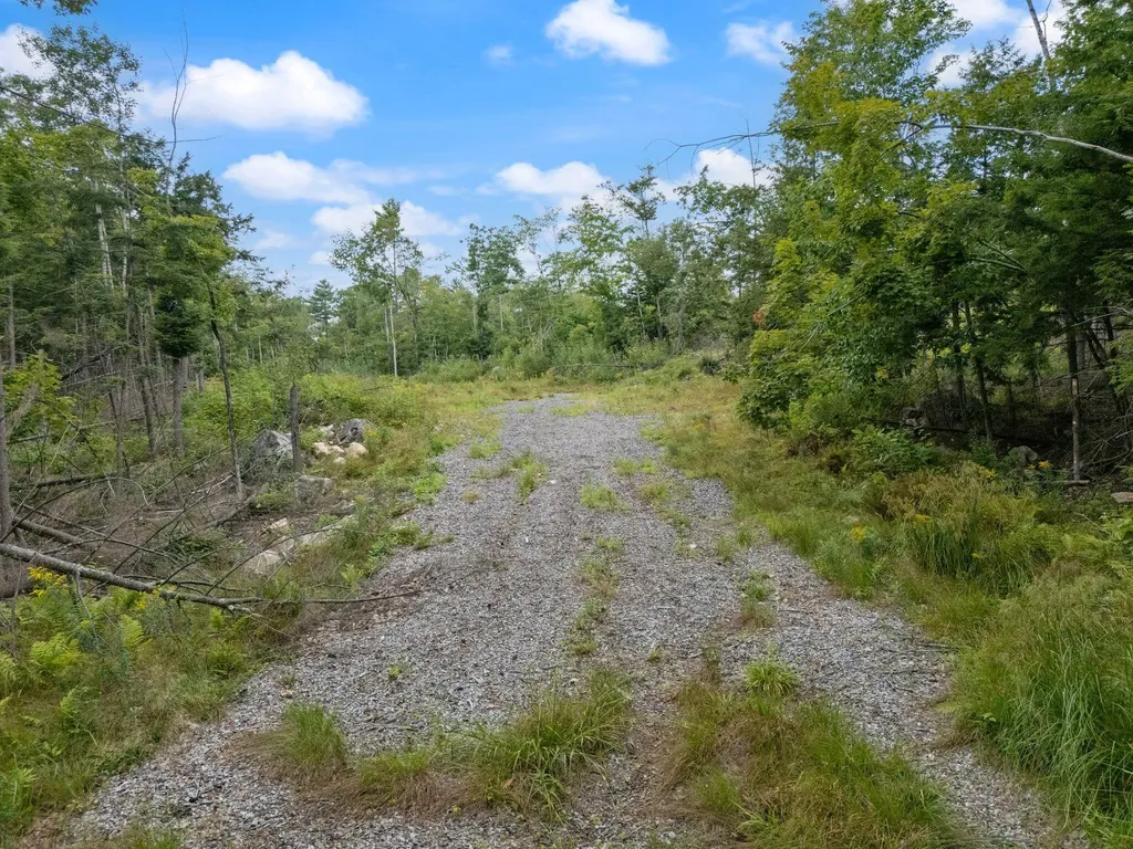 Lot 2 Map 49 Lot 16.2 Sanborn Road Newfield ME 04095
