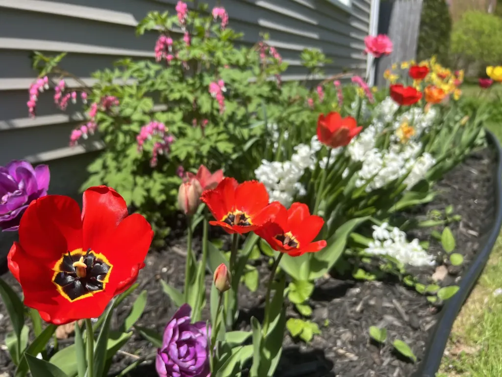 15 Wadsworth Street Thomaston ME 04861