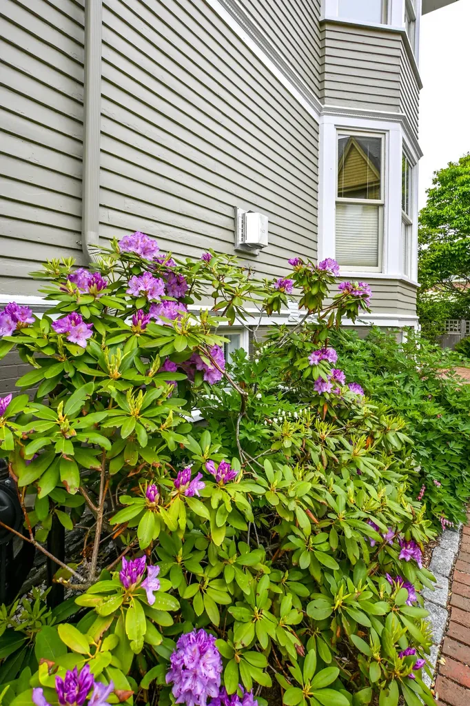 37 Carroll Street Portland ME 04102