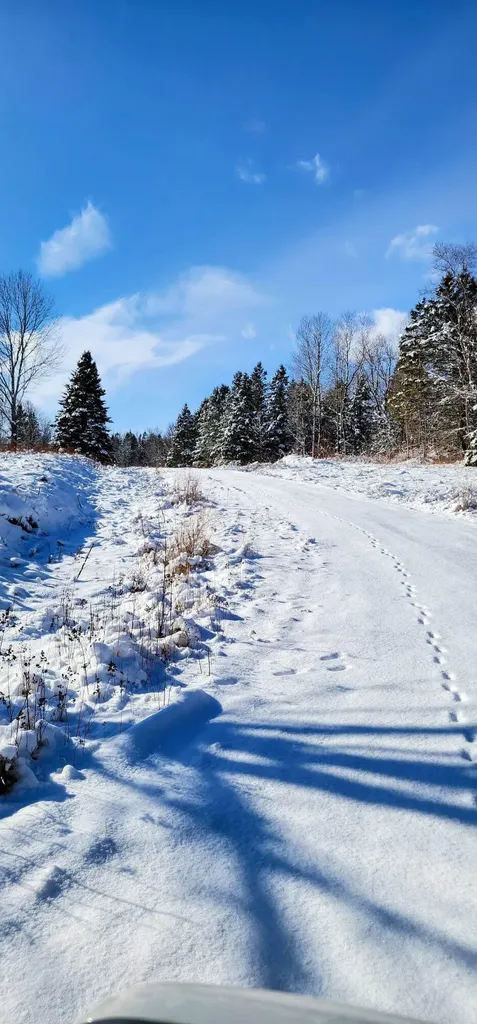 Lot 52 Us- Route 1 Robbinston ME 04668
