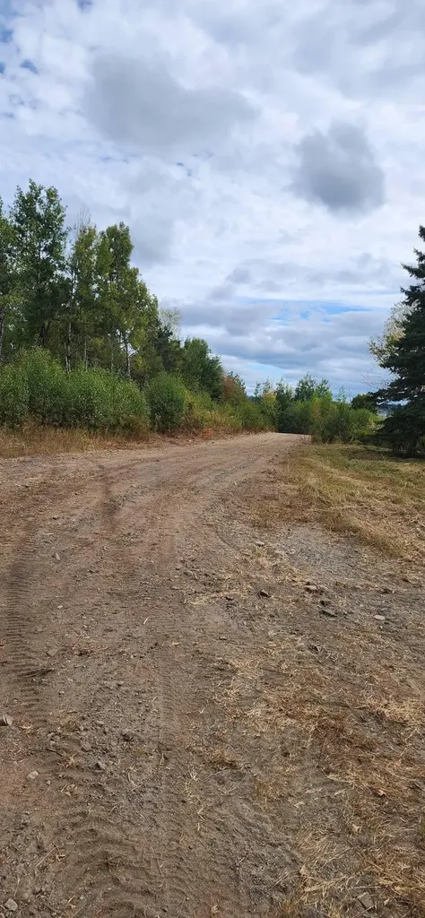 Lot 52 Us- Route 1 Robbinston ME 04668