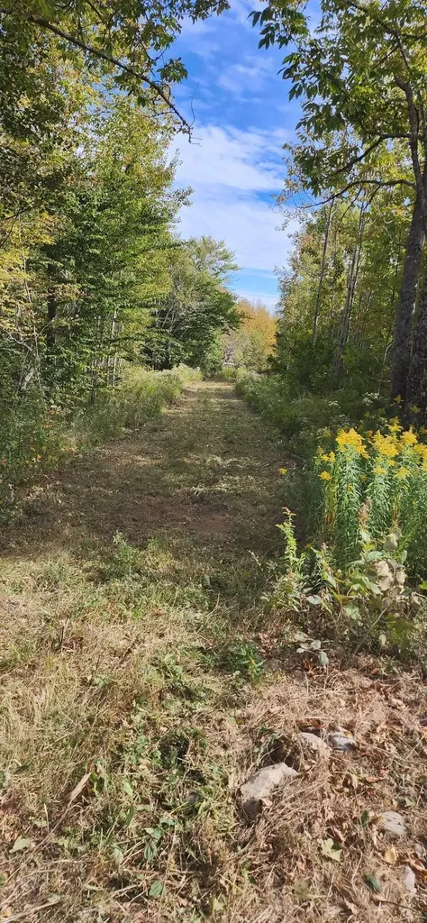 Lot 52 Us- Route 1 Robbinston ME 04668