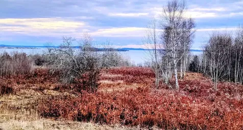 Lot 52 Us- Route 1 Robbinston ME 04668